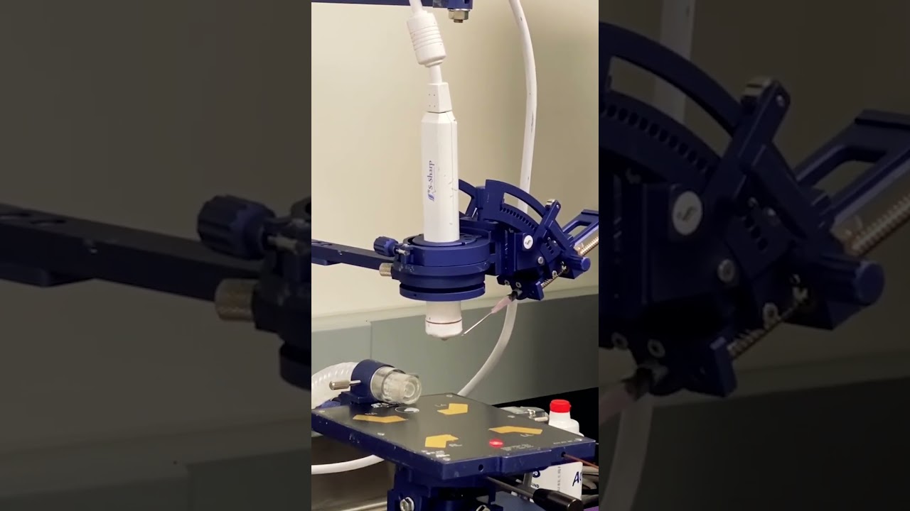 #shorts  Preclinical Multimodal Imaging - Ultrasound