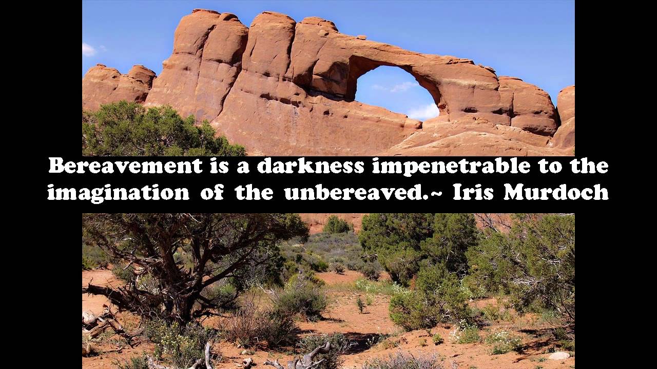 Property Investor Review