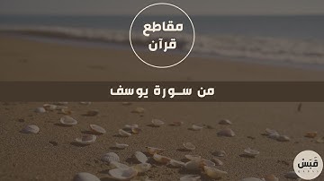 وتولى عنهم وقال يا أسفى | القارئ وديع اليمني