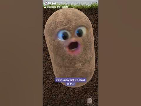 A potato flew around my room - YouTube
