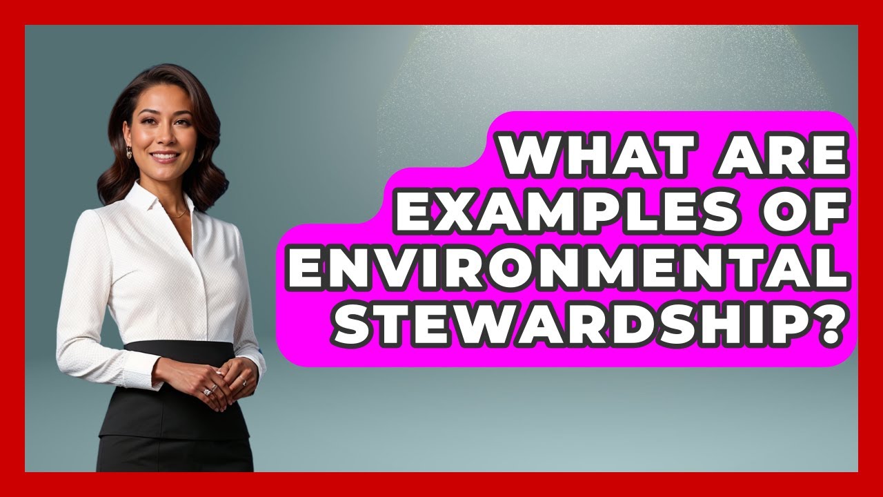 What Are Examples Of Environmental Stewardship? - The Personal Growth Path