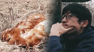 귀농 부부, 예고 없이 찾아온 시련에 ‘골머리’ @SBS 일요특선 다큐멘터리 20160731