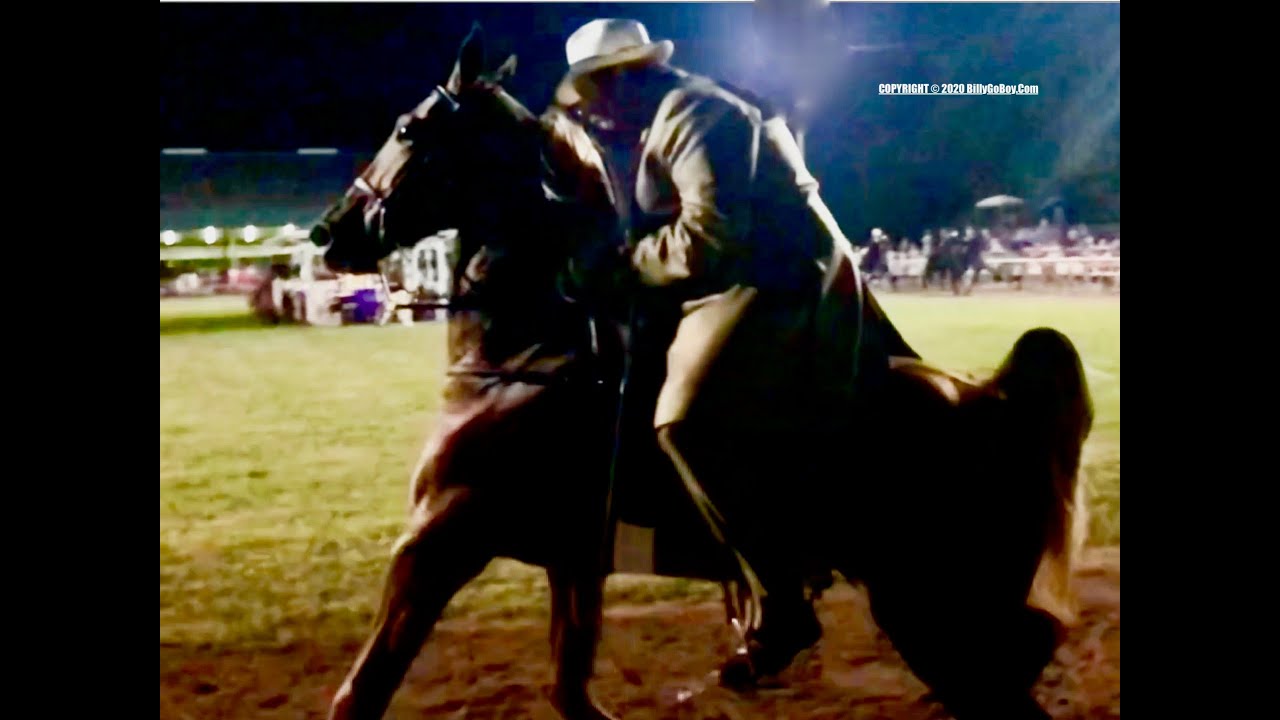 "BABY HORSES" TRAINER BOYZ Riding For Money Woodbury Lions Club