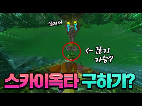 야숨 스카이옥타를 구해주는게 가능할까? (젤다의 전설 야생의 숨결)