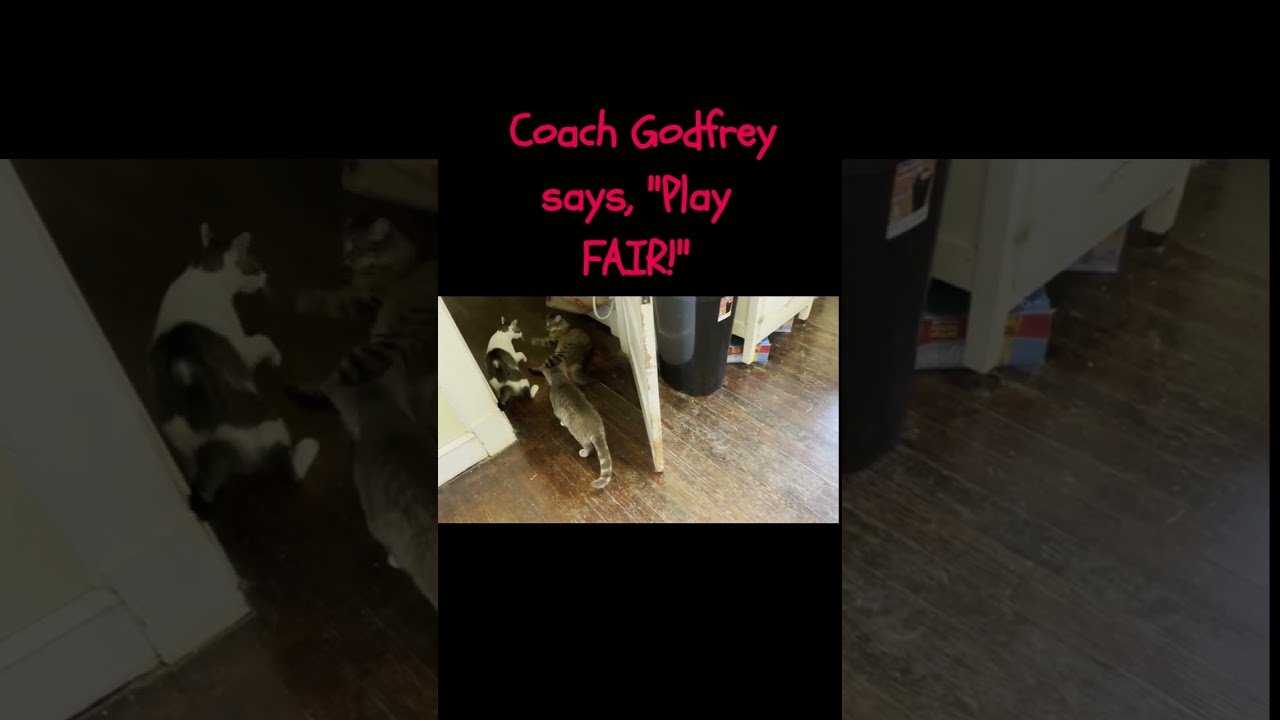 Coach Godfrey 