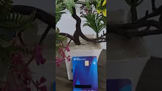 hdfc credit card offers | ₹ 1500 Amazon voucher ? | ? credit card offers ?
