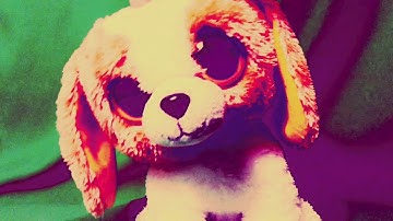 Running With the Wolves | BlizzardBeautyOfiicial MEP