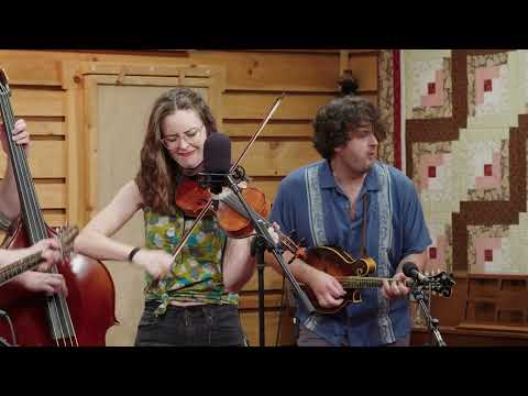 East Nash Grass - Toy Heart