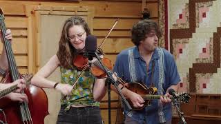 East Nash Grass - Toy Heart