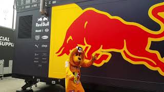 Lucky Gratefully Lion Mascot. Aston Martin Red Bull Racing.