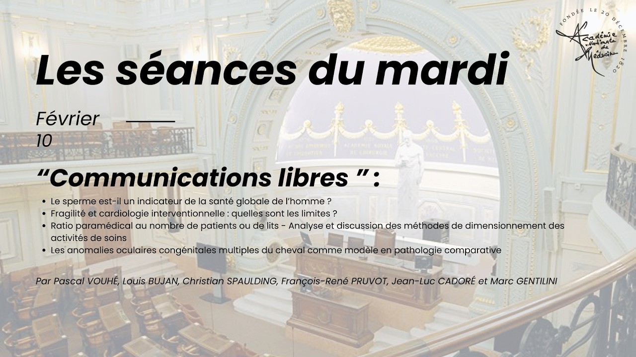 📺 Séance du 10 février 2026