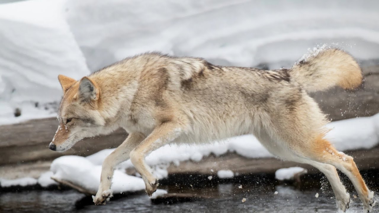 Too Warm for January