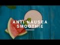 Anti-Nausea Smoothie | Danielle Hayley | Wild Dish