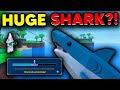 I Caught The WORLD'S FIRST MEGALODON... | Sol's RNG