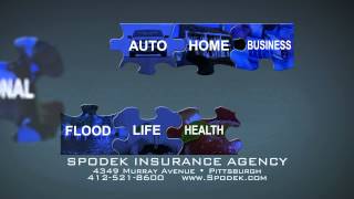 Spodek Puzzle30