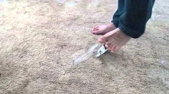 Beer bottle vs monkey toes