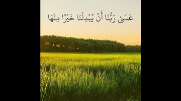 تلاوة خاشعة تريح القلب والاعصاب بصوت القارئ اسلام صبحي| قَالُوا يَا وَيْلَنَا إِنَّا كُنَّا طَاغِينَ