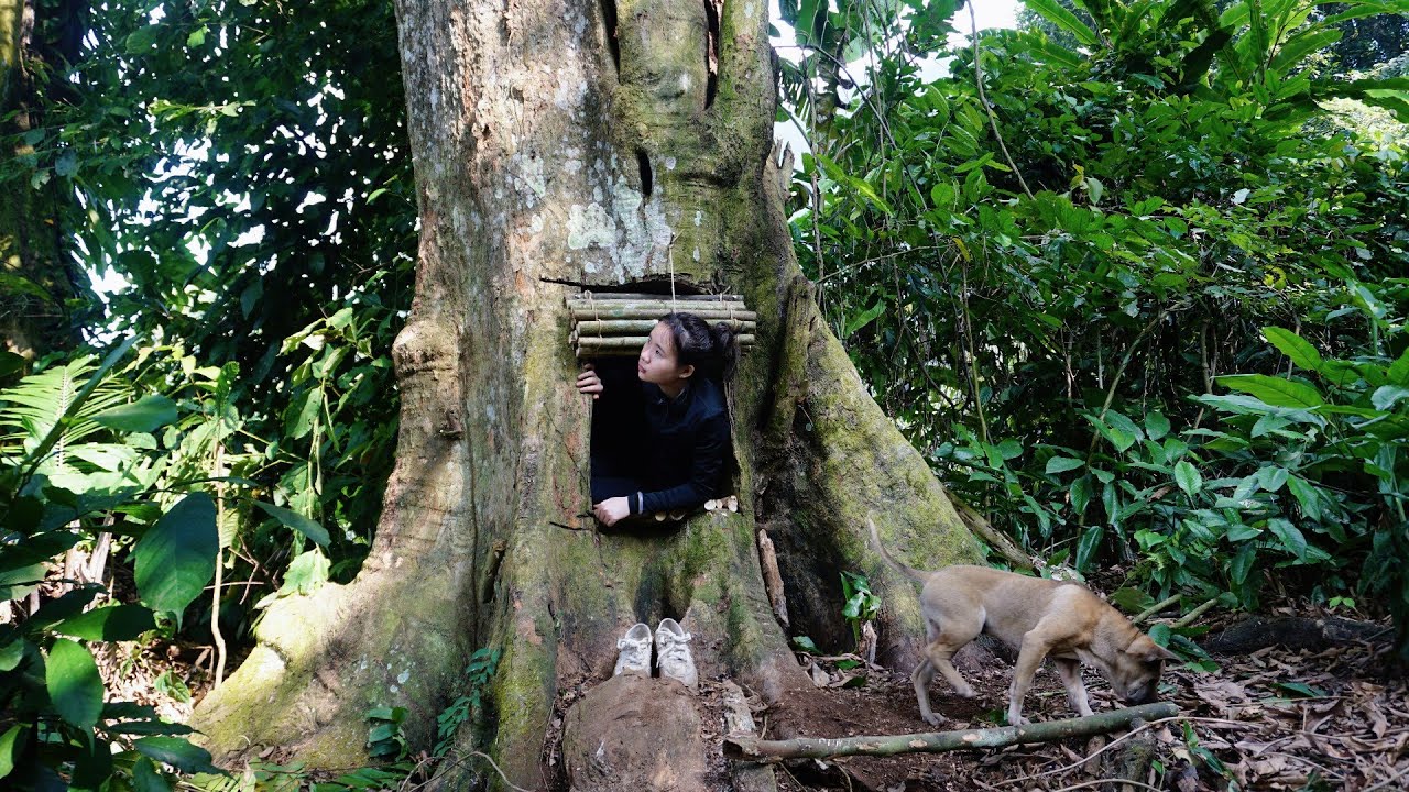FULL VIDEO: 120 Days Building a Shelter Inside a Giant Tree Trunk, Surviving Alone in the Forest