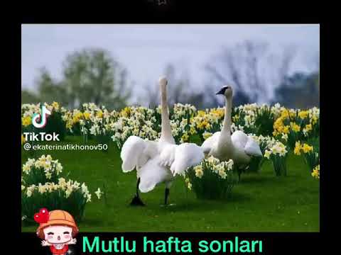 Mutlu huzurlu haftasonları