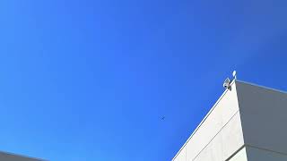Two Fighter Jets South Portland, Maine Thursday September 15th 2022
