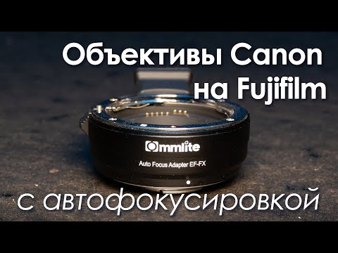 Video: Canon линзалары (37 сүрөт): EF жана EF-M, RF жана L, башка сериялар, макро сүрөткө тартуу жана видео тартуу үчүн фото линзалар, сын-пикирлер