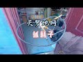 还吃啊!收你们来了! #田园生活乐趣多 #治愈系慢生活 #平淡治愈的乡村生活 #我的小院 #庄园老邢瞎弄的日常