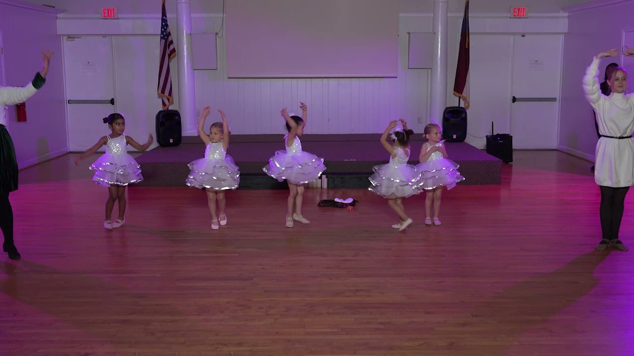 2025 Princess Holiday