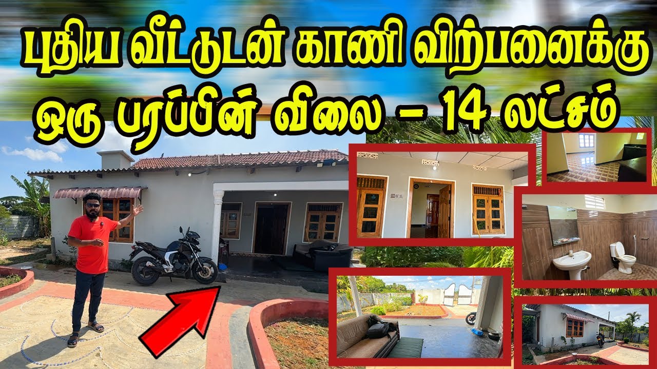 புதிய வீட்டுடன் மலிவு விலையில் காணி விற்பனைக்கு- முந்துபவருக்கு அதிஸ்டம் #kiliochchi #jaffna #land