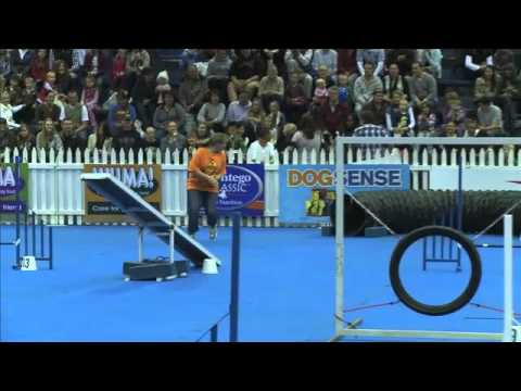 sport-news,-agility:-poodle-and-tarryn-in-dog-agility-contest,-south-africa