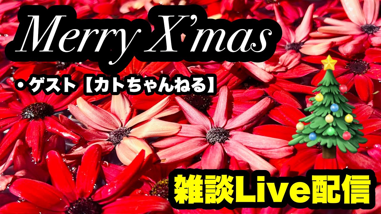 趣味の園芸やっちゃんねる のライブXmasライブ配信 - YouTube