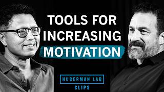 Tools for Increasing Motivation | Dr. Masud Husain & Dr. Andrew Huberman