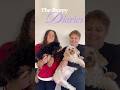 Episode 3 the Puppy Diaries #thepuppydiaries #litterofpuppies #dogbreeder #moodle #shoodle #puppies