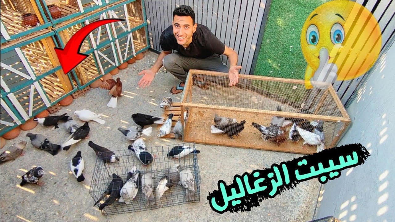 اخيرا دشرت وسيبت الزغاليل الجديدة 😃 وحصلت مفاجات في السلاكة (يوم كله خير )