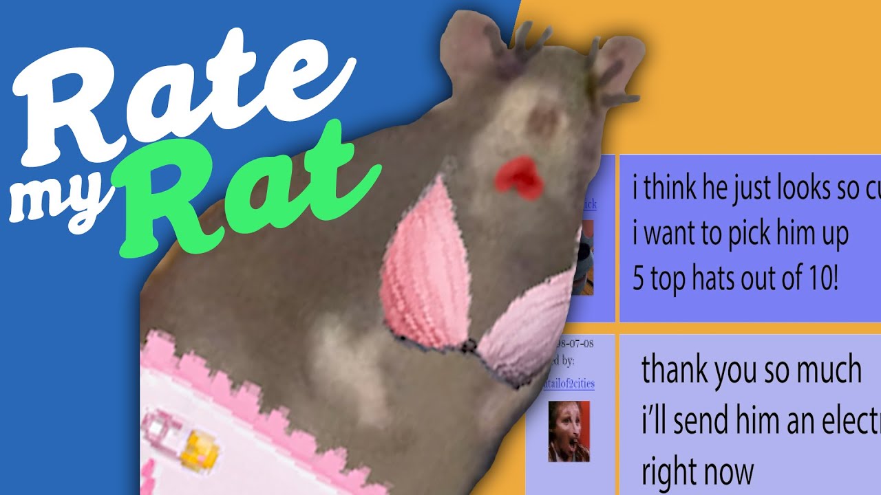 Rate My Rat YouTube