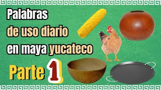 Learn to speak the Yucatecan Mayan language | Words of daily use in the Yucatecan Mayan. Part 1.