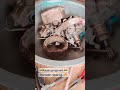Alternator repairing 🔥🔥 All vehicles 🛻🚘🚔.👆🏻 #viral #youtubeshorts #shots
