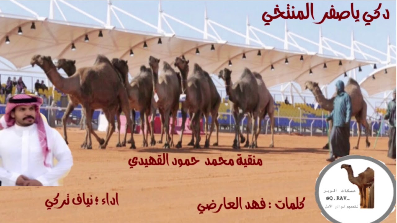 جينا نبي العد القراح لعيون زاهيت الوشاح🔥 شيلة محمد حمود القهيدي اداء؛ نياف تركي