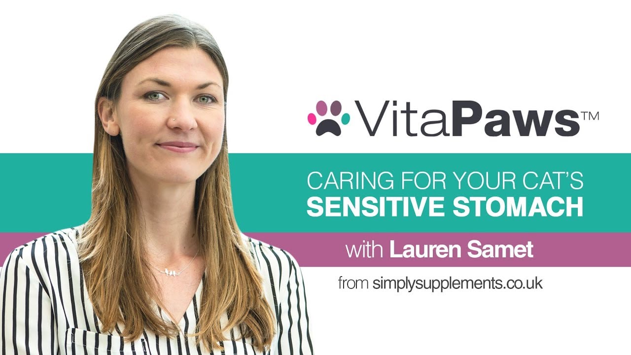 Caring for a Cat with a Sensitive Stomach - YouTube