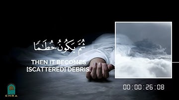 📖 | من سورة الحديد🎙 | القارئ: حاتم المالكي .