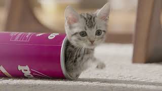 カルカン 「UFO」篇 15秒 2022春ver.