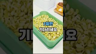 이벤트 배너