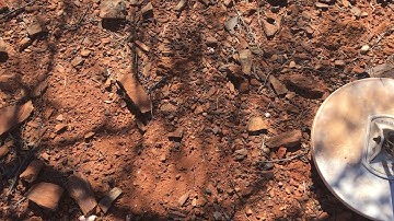 17” concentric X-Coil second date...I think we’re an item