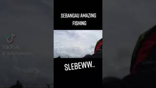 Tayapan Sebangau