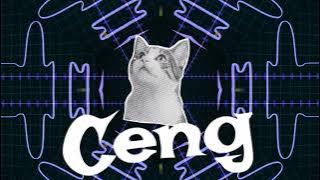 Ceng - Mixtape vol 1 ( Miami Bass, Jersey CLub, Afrohouse, Baile, and Bootleg )