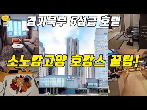 소노회원권으로 더 알차게 즐기기~ 800실 넘는 5성급 호텔 소노캄고양 호캉스! #영업이답이다