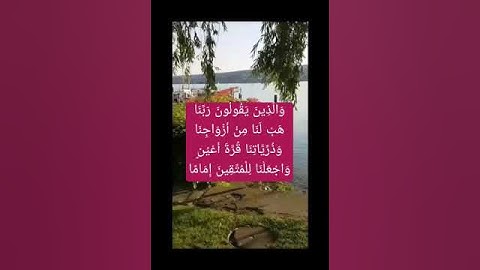 ( سورة الفرقان )وَالَّذِينَ يَقُولُونَ رَبَّنَا هَبْ لَنَا مِنْ أَزْوَاجِنَا وَذُرِّيَّاتِنَا