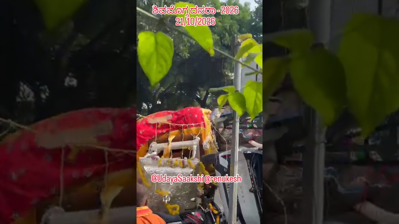 Shimoga dasara news| ಶಿವಮೊಗ್ಗ ದಸರಾ | ಅಂಬಾರಿ ಹೊತ್ತ ಸೋಮಣ್ಣ ಆನೆಯ ರೌದ್ರಾವತಾರ! #shimoga #shivamogga #news