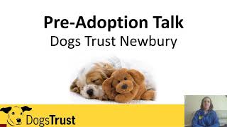 Dogs Trust Newbury Pre-adoption Talk