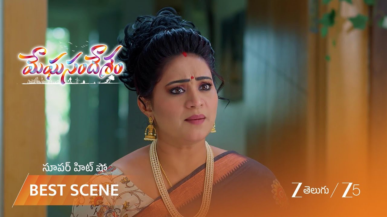 MEGHASANDESAM | స్వామీజీ రాకతో కృష్ణప్రసాద్ ఇంట్లో టెన్షన్