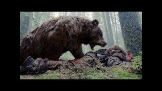 UNBELIEVABLE Bear Attacks & Interactions CAUGHT ON CAMERA أخطر هجمات الدببة على البشر